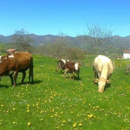 Apartamentos Rurales Kastonea Errazu Exteriér fotografie